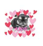くみな（個別スタンプ：5）