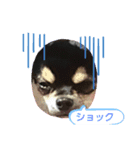 くみな（個別スタンプ：6）