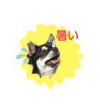 くみな（個別スタンプ：7）
