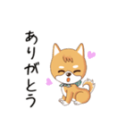 柴犬クラブ（個別スタンプ：1）