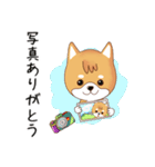 柴犬クラブ（個別スタンプ：2）