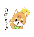 柴犬クラブ（個別スタンプ：4）