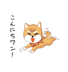 柴犬クラブ（個別スタンプ：5）