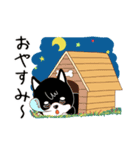 柴犬クラブ（個別スタンプ：7）