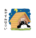 柴犬クラブ（個別スタンプ：8）