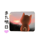 柴犬クラブ（個別スタンプ：9）
