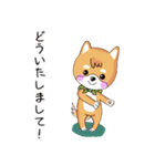 柴犬クラブ（個別スタンプ：10）