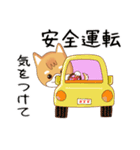 柴犬クラブ（個別スタンプ：12）