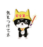 柴犬クラブ（個別スタンプ：13）