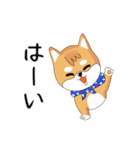 柴犬クラブ（個別スタンプ：14）