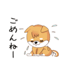 柴犬クラブ（個別スタンプ：20）