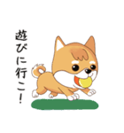 柴犬クラブ（個別スタンプ：22）
