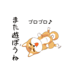 柴犬クラブ（個別スタンプ：24）
