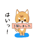 柴犬クラブ（個別スタンプ：26）
