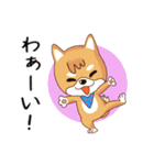 柴犬クラブ（個別スタンプ：27）
