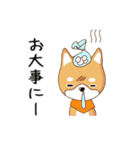 柴犬クラブ（個別スタンプ：34）