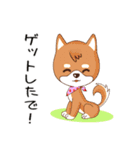 柴犬クラブ（個別スタンプ：35）