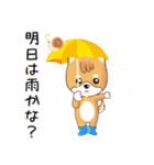 柴犬クラブ（個別スタンプ：39）