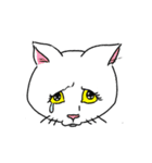 ニャンちゃんキャトちゃんスタンプ（個別スタンプ：4）