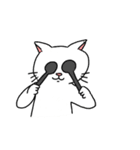ニャンちゃんキャトちゃんスタンプ（個別スタンプ：30）