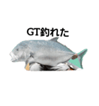 魚好きの魚スタンプ（個別スタンプ：5）