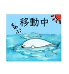 くりおねとあざらし（個別スタンプ：5）