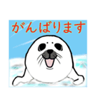 くりおねとあざらし（個別スタンプ：13）