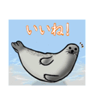 くりおねとあざらし（個別スタンプ：14）