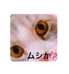 カナル@（個別スタンプ：1）