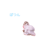 カナル@（個別スタンプ：2）
