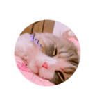 カナル@（個別スタンプ：3）