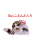 カナル@（個別スタンプ：4）
