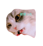 カナル@（個別スタンプ：6）