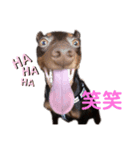 ハルちゃん(ミニピン )（個別スタンプ：3）