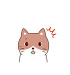 シンプルねこ シンプルうさぎ（個別スタンプ：19）