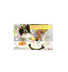 シャルルのスタンプ❤️（個別スタンプ：3）