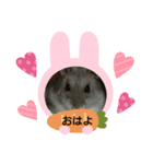 まるチョビスタンプ（個別スタンプ：2）