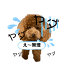 のだもこちゃん4（個別スタンプ：2）