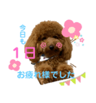 のだもこちゃん4（個別スタンプ：5）
