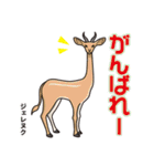 世界の珍カワ動物図鑑（個別スタンプ：10）