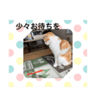 可愛いココちゃん スタンプ（個別スタンプ：2）