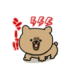 犬なのか熊なのか猫なのか（個別スタンプ：11）