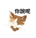 KIWIの日常生活（個別スタンプ：2）