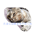 ついつい使っちゃう（個別スタンプ：3）