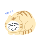 くまもと（個別スタンプ：3）