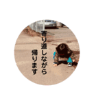 HIKIMAのすたんぷ其の2（個別スタンプ：6）