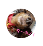 NICOの…（個別スタンプ：5）