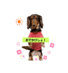 NICOの…（個別スタンプ：7）