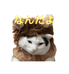 むぎさんと可愛い仲間達（個別スタンプ：1）