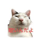 むぎさんと可愛い仲間達（個別スタンプ：3）